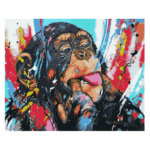 CHIMPANCÉ DE COLORES