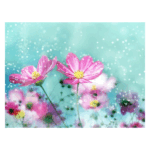FLOR COSMOS - Diamantes