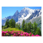 MONT BLANC - Diamantes