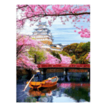 CASTILLO DE HIMEJI - Diamantes
